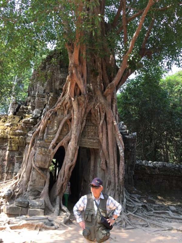 無情歲月使得吳哥成為瀕危世界文化遺產，大自然的力量大到可以蛇吞象！(楊正寬)