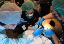 大貓熊健康檢查接力,換「圓寶」上場 圖/臺北市立動物園