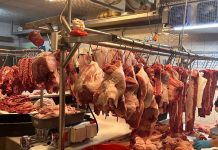 臺南優質農畜產品伴過年 呷嘎健康擱滿意 圖/台南市政府農業局