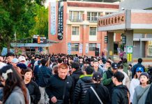 2024龍崎光節空山祭熱鬧落幕!吸引近10萬觀展人潮 圖/台南市文化局