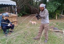 臺東永續綠建築 「卑南家屋故事竹與藤」環境教育合作活動 圖/臺東縣政府環境保護局
