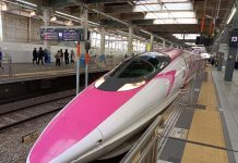 和Hello kitty一起通勤的山陽新幹線列車(大空少&小空姐) 從遠處望去,粉紅色的列車就能攫取多數人的視線。