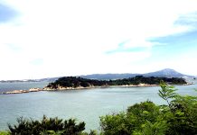 何豪毅專欄/無人機侵犯領空 國軍必須擊落(何豪毅) 圖/擷取自網路