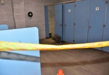 嘉義縣朴子市配天宮男廁驚現男子倒臥 警方調查死因 圖/警方提供