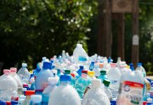 垃圾變黃金!澳洲男子靠撿垃圾賺10萬澳幣 示意圖/Pexels