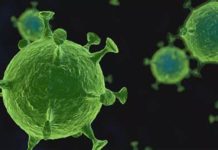 國內M痘疫情升溫 6月新增6例本土病例 圖/翻攝自狐搜