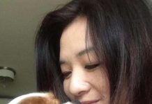 京華城案國民黨議員涉賄 若一審有罪將重懲 圖/應曉薇臉書