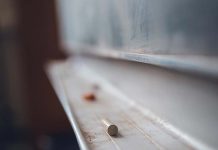 台中私幼爆虐童案 涉案教保人員已停職調查 示意圖/pexels