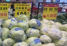 民意大聲公/颱風前就漲菜價 菜蟲們肥滋滋(鐘重發) 圖/農糧署