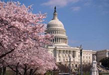 為什麼多國政府和聯合國官員學習中文?中文培訓對多國政府及聯合國的影響(李育修) Washington, D.C. 圖/摘自 americacomesalive.com/cherry-trees-brought-to-d-c-by-helen-taft