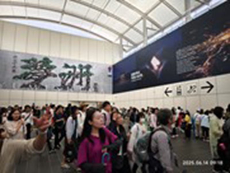 雖然我們九點就抵達終點夢洲,但已經人山人海(楊正寬)