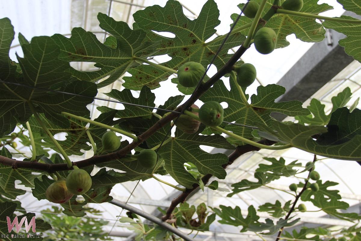 20260209193711_0_de261d