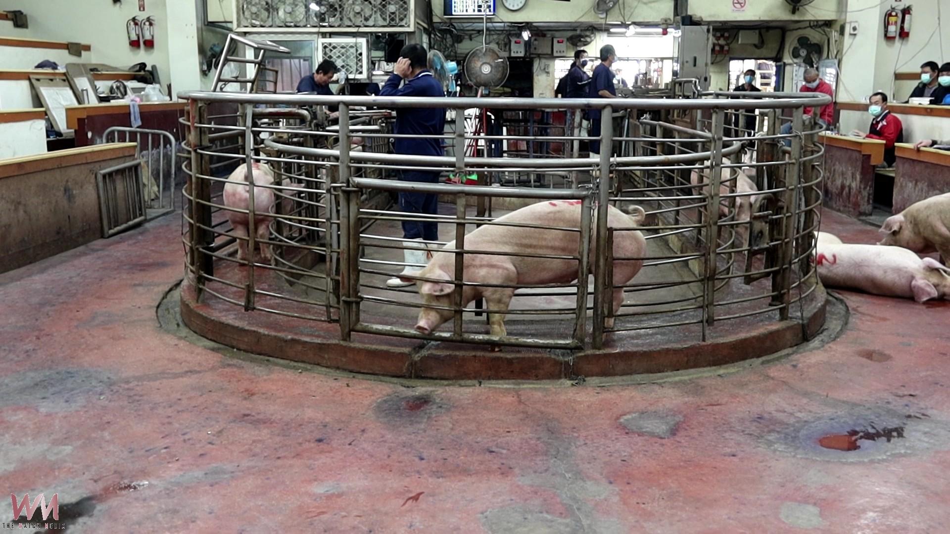 20260224202658_0_1c0784