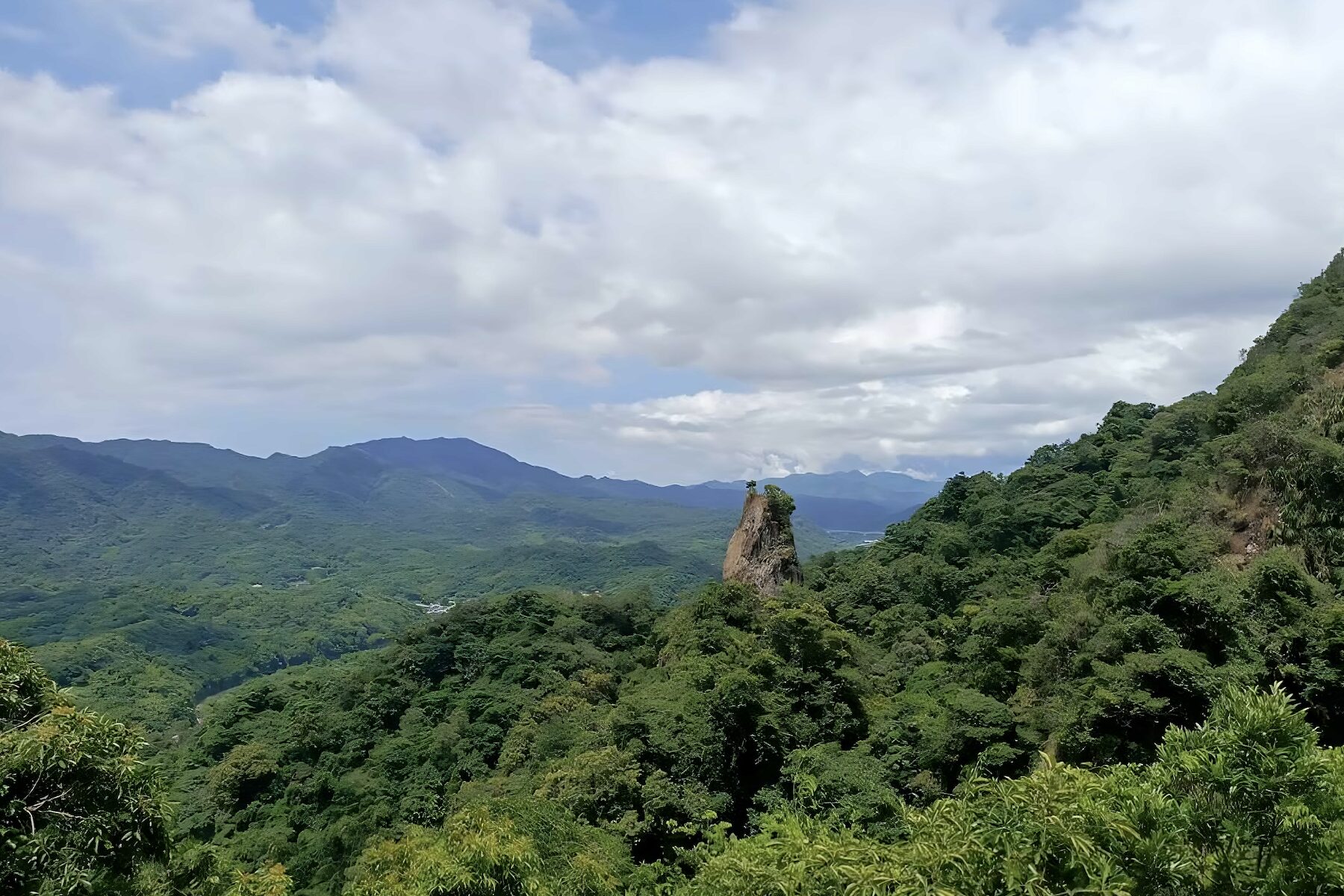 春天最美行腳！新北「微笑山線縱走」2/23 下午兩點開搶     四場春季健行帶您追螢賞星