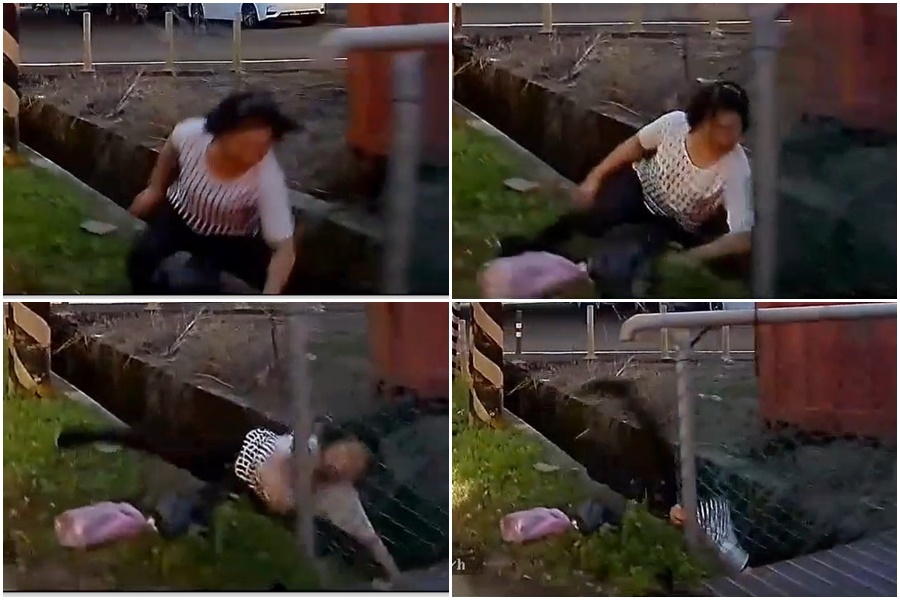 cei8m7qXz4paMJJZL900