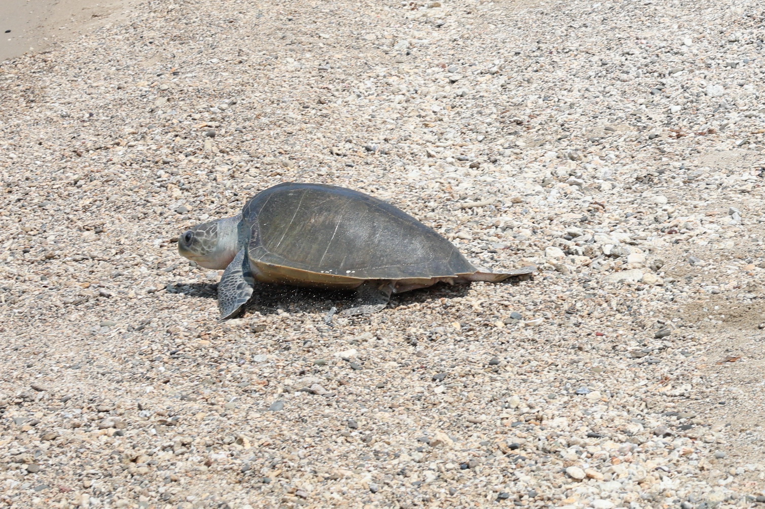 20260326193143_0_a5f8cd