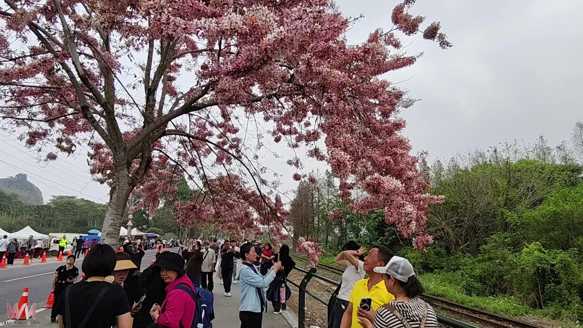 20260328202901_0_11e897