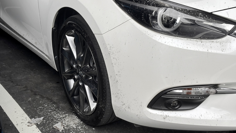 FavqokDiJLl16usfWNZl