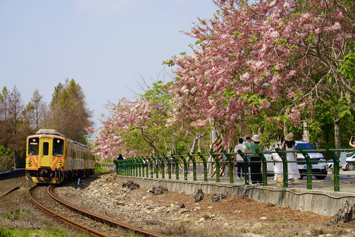 SwOUkl3vcoW5UihqCuKQ