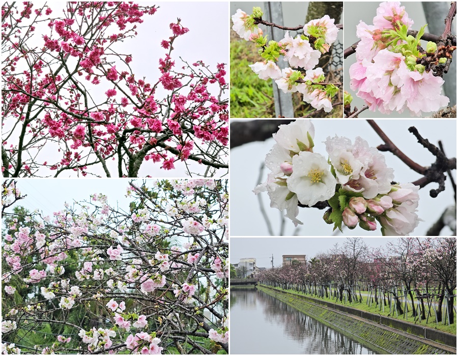 xYkW2UJMJGJsv3W4RrSE