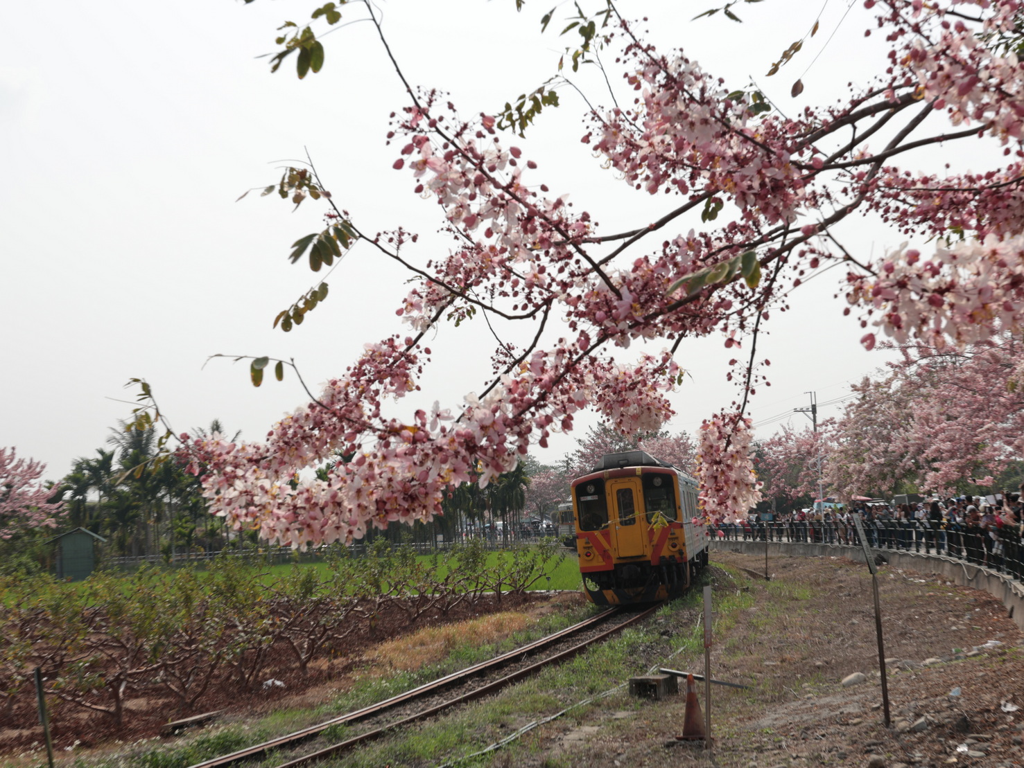 20260406182315_0_896138