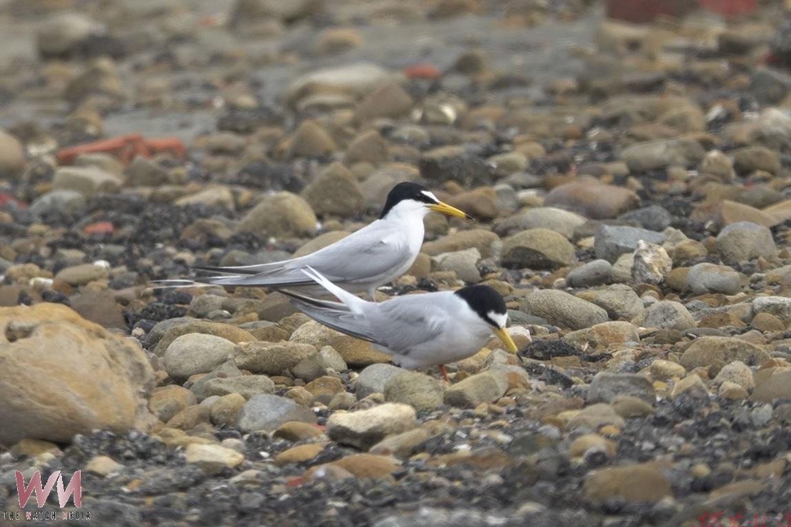 20260409200240_0_8c4b02