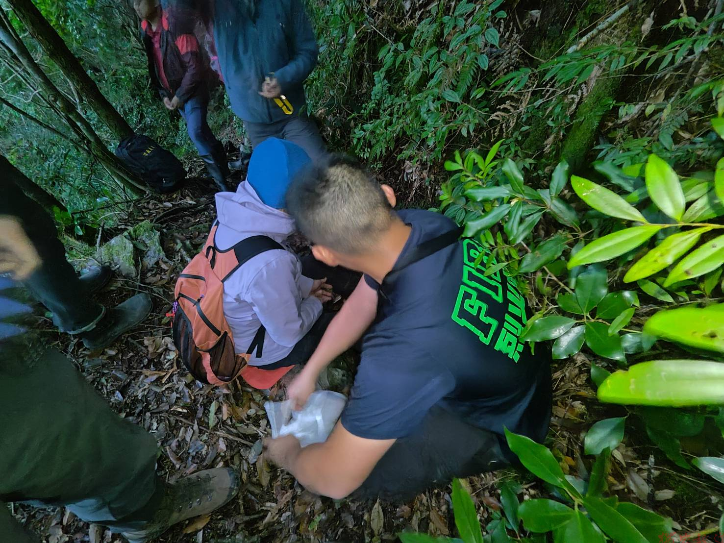 20260410155337_0_7aa66b