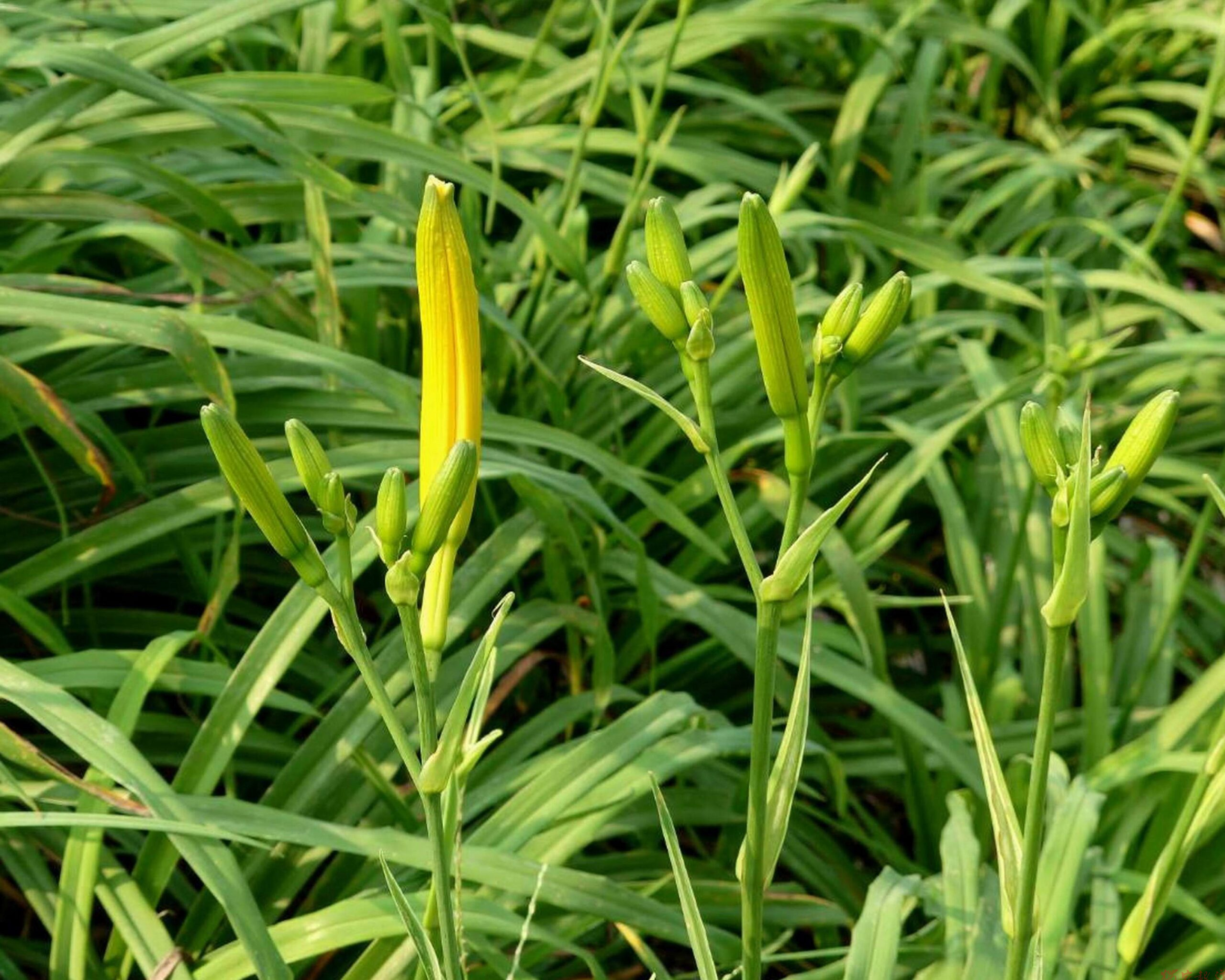 20260412193303_0_e4fc03