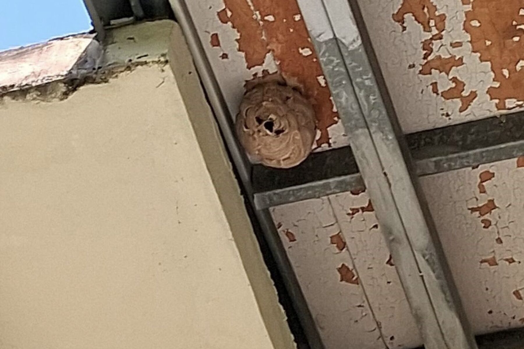 IeoQri5ZbI8vpEI5CEUy