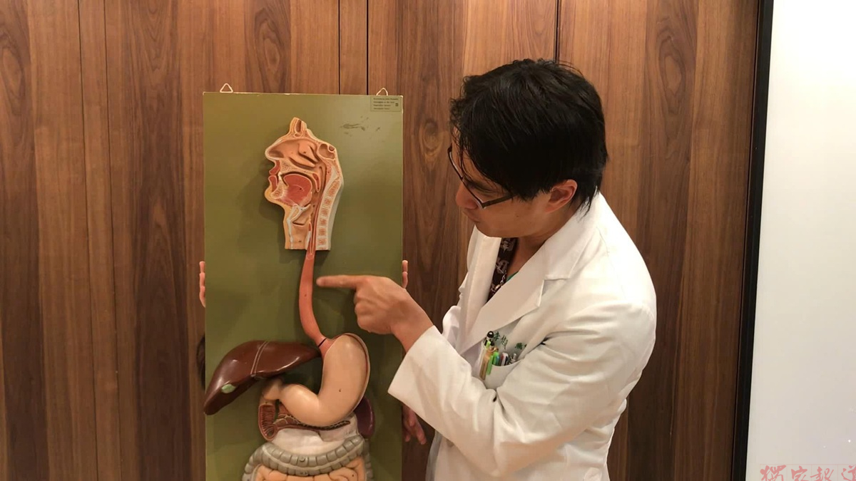 ZVD6Trnx3UpLVKS2zikw