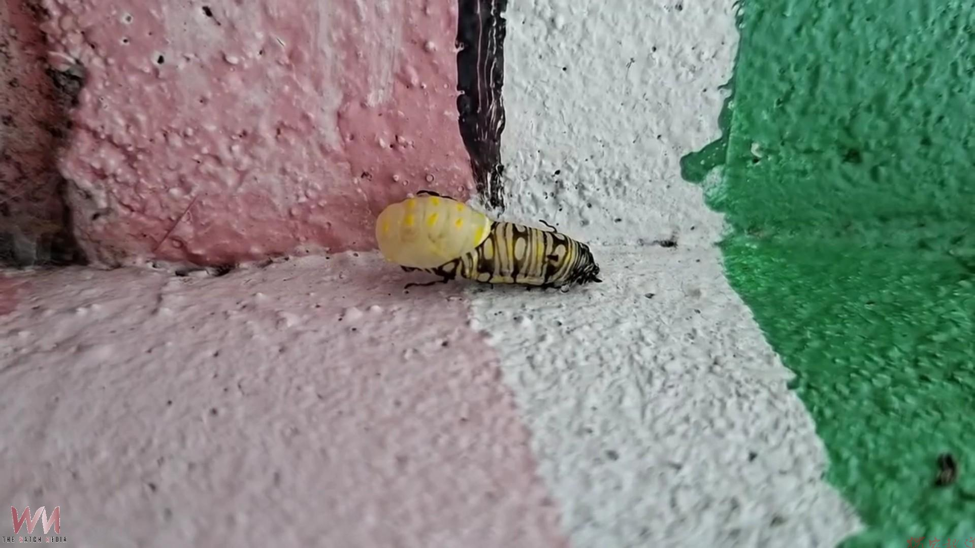 20260620185433_0_2c6705