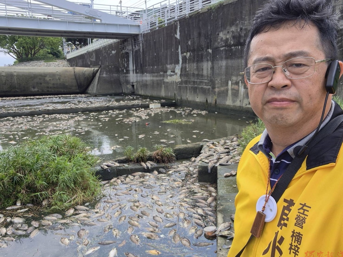 後勁溪再現大量死魚 薛兆基籲導入AI監測 別等魚死才追污染 後勁溪再現大量死魚 薛兆基籲導入AI監測 別等魚死才追污染