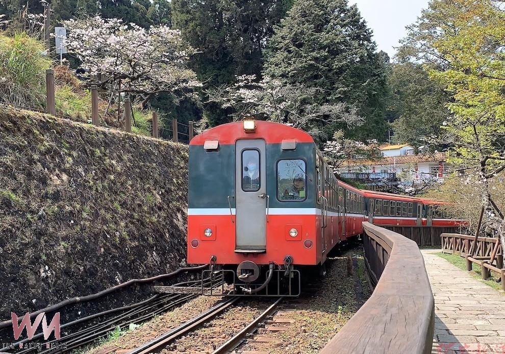 因嘉義山區天候不穩定 阿里山林鐵8/24全線預警性停駛 因嘉義山區天候不穩定 阿里山林鐵8/24全線預警性停駛