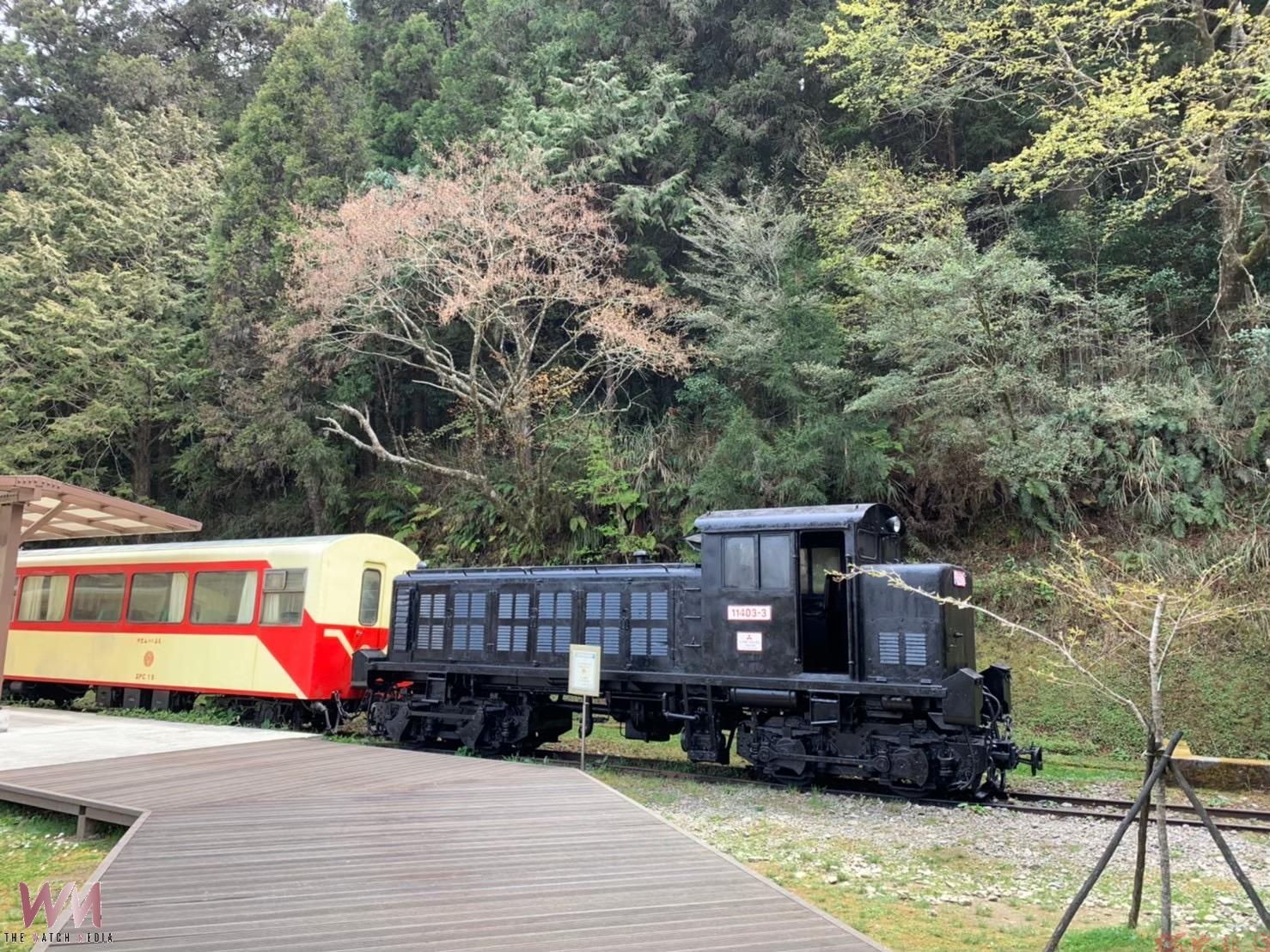 阿里山林鐵8/25日全線再持續停駛 阿里山林鐵8/25日全線再持續停駛