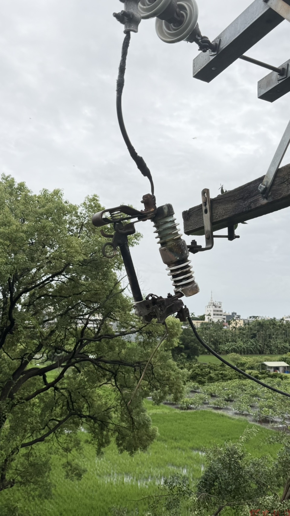 台電稱:倒塌路樹釀停電!田中1956戶一度無電 台電稱:倒塌路樹釀停電!田中1956戶一度無電