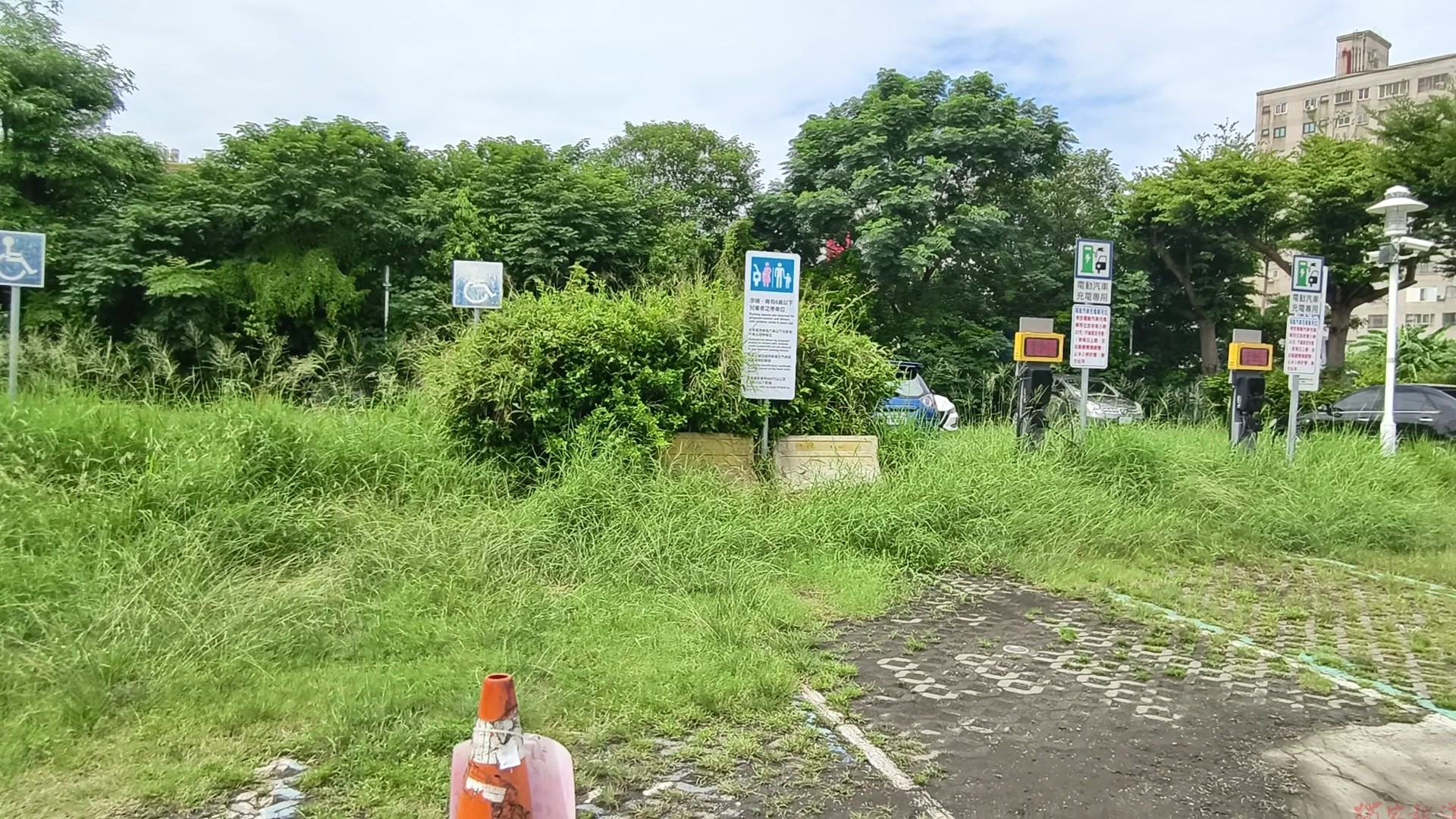 「鬼月不能除草」挨轟!彰化向陽公園雜草瘋長 「鬼月不能除草」挨轟!彰化向陽公園雜草瘋長