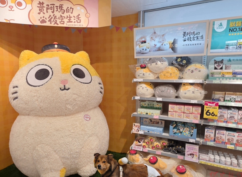 巨型「黃阿瑪」坐鎮 寵物公園迎150店!350件買1送1開搶 巨型「黃阿瑪」坐鎮 寵物公園迎150店!350件買1送1開搶