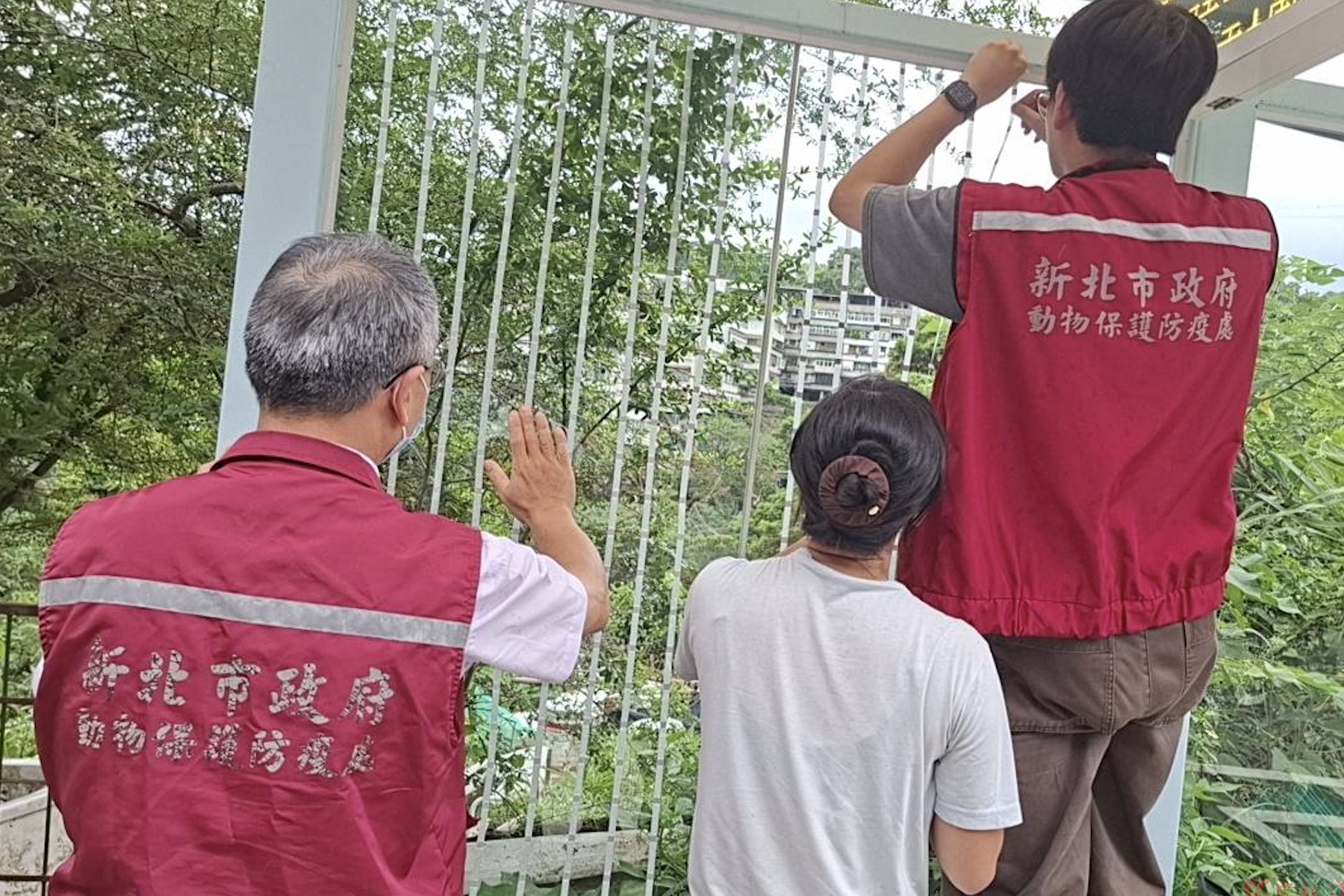 防範野鳥撞擊透明玻璃 新北潭之鄉公車亭率先進行防撞改造 防範野鳥撞擊透明玻璃 新北潭之鄉公車亭率先進行防撞改造