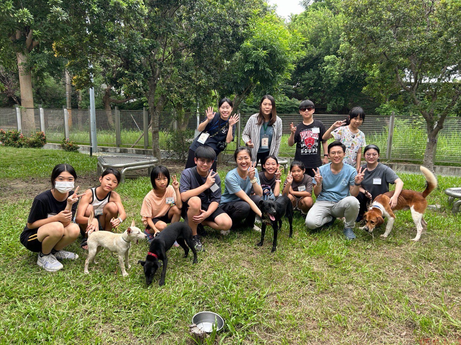首圖-2026療癒犬夏令營圓滿落幕