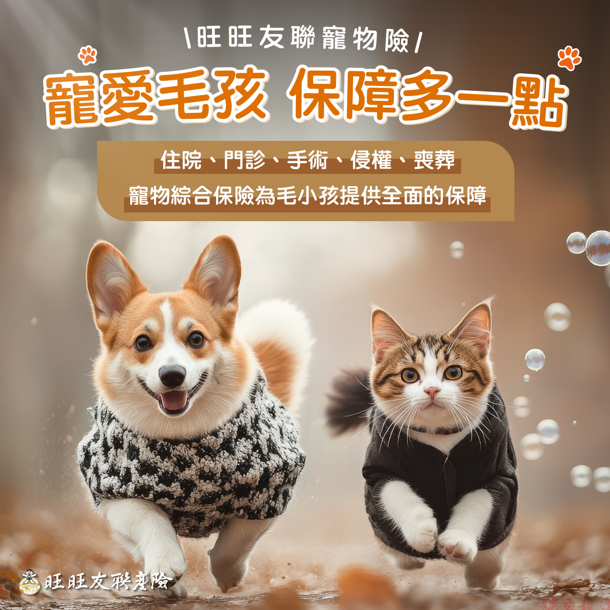 旺旺友聯寵物險3.0版9/1全新上線,打造飼主最強醫療後盾 旺旺友聯寵物險3.0版9/1全新上線,打造飼主最強醫療後盾