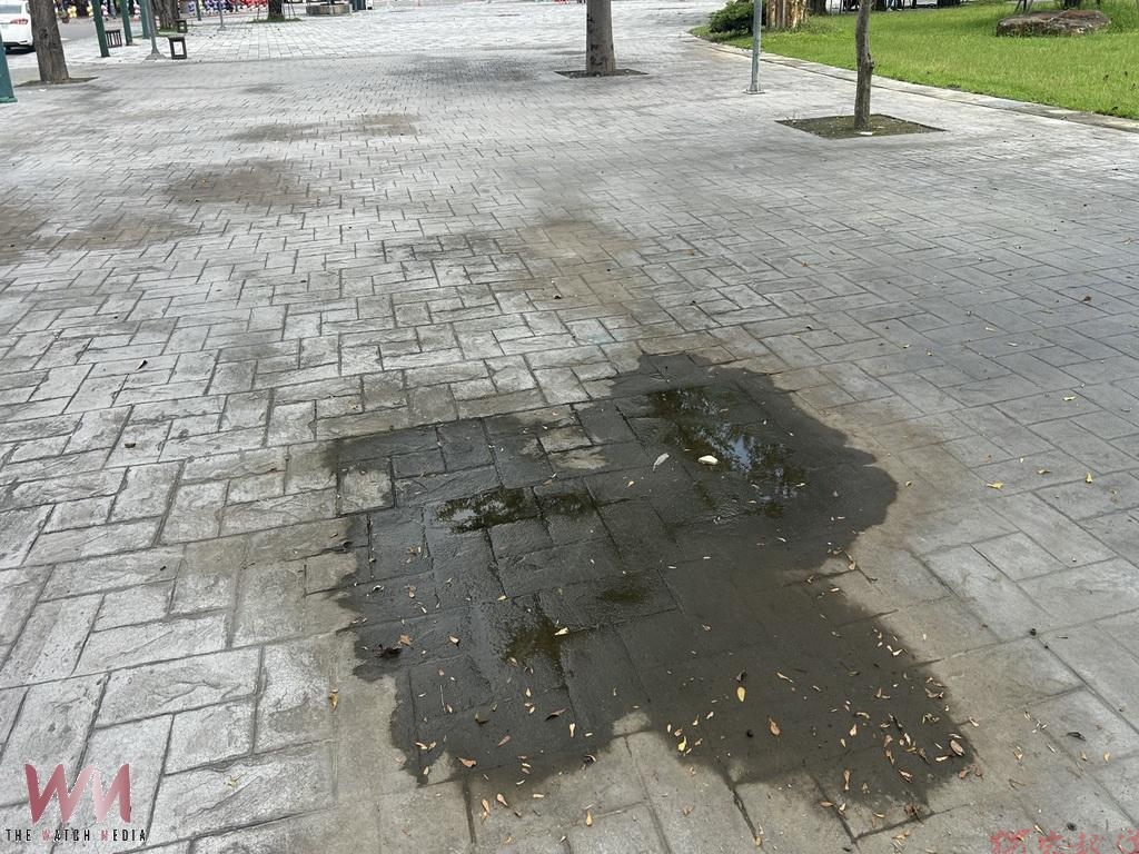 雨天走怡心園步道暗藏殺機 積水青苔頻傳滑倒鄉代劉美蘭責成公所處理 雨天走怡心園步道暗藏殺機 積水青苔頻傳滑倒鄉代劉美蘭責成公所處理
