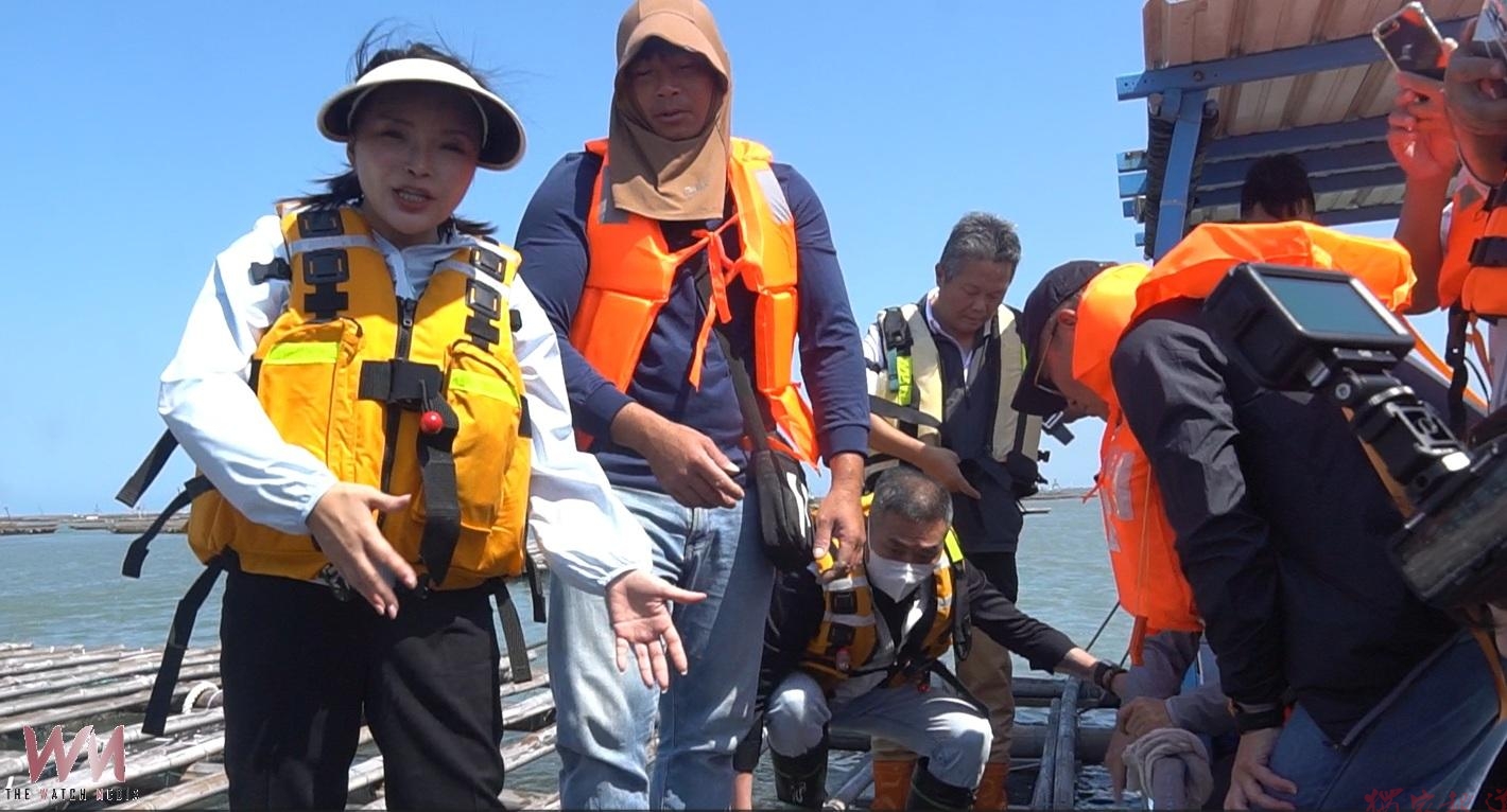 (有影片)/豪雨重創雲林牡蠣40年首遇慘況 死亡高達七成蚵農叫苦籲從寬救助 (有影片)/豪雨重創雲林牡蠣40年首遇慘況 死亡高達七成蚵農叫苦籲從寬救助