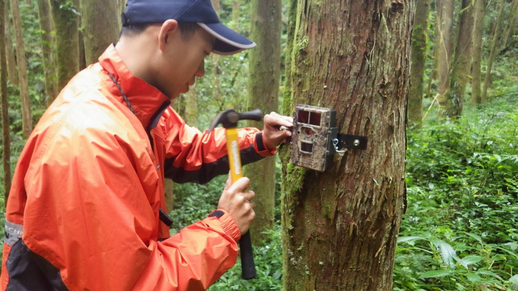 號召熱愛森林夥伴 南投分署116年森林護管員招考 正取8名等你來挑戰! 號召熱愛森林夥伴 南投分署116年森林護管員招考 正取8名等你來挑戰!