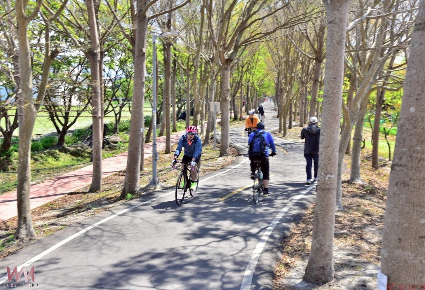 守護單車族與行人安全 中市三大自行車道科技執法 違規駛入最高罰1,800元 守護單車族與行人安全 中市三大自行車道科技執法 違規駛入最高罰1,800元