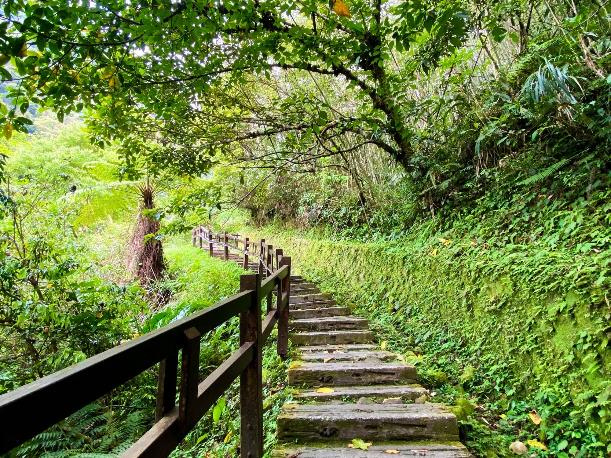 連假走進山林 走訪圓潭瀑布、植物園再享山產美食 連假走進山林 走訪圓潭瀑布、植物園再享山產美食