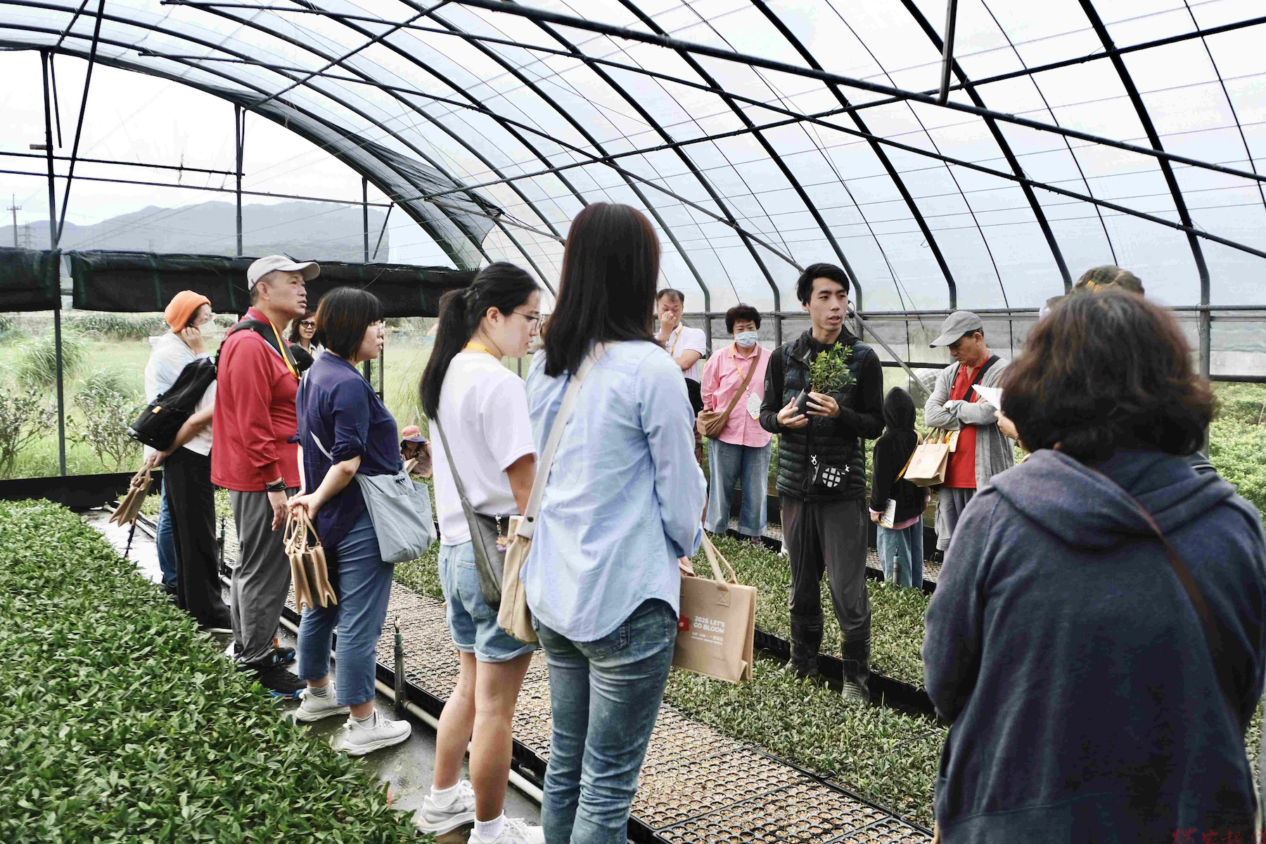 新北市農業局推出萬金杜鵑秋季一日遊 帶領民眾探訪粉紅溫室與花農日常 新北市農業局推出萬金杜鵑秋季一日遊 帶領民眾探訪粉紅溫室與花農日常