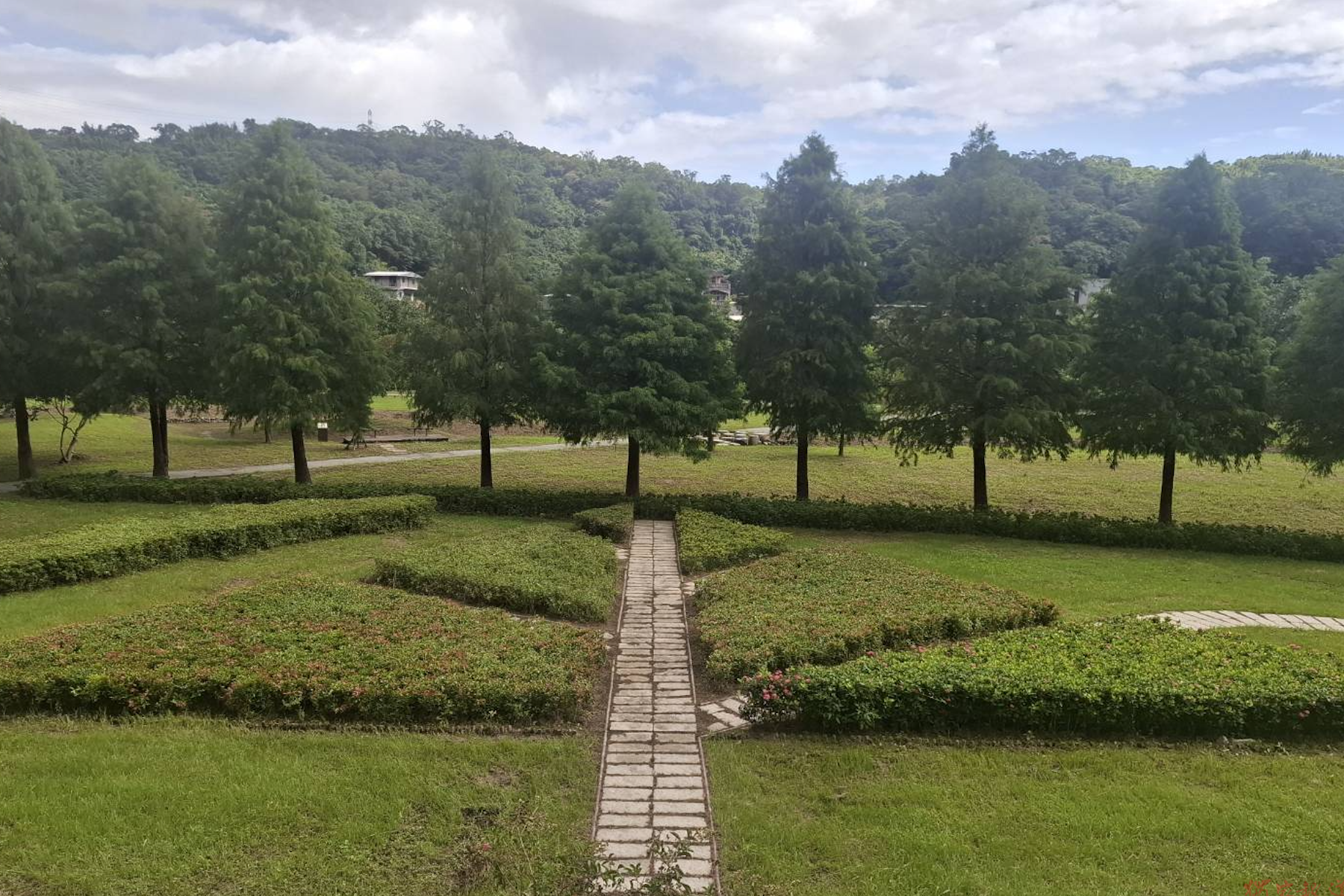 新北貢寮環保公園綠美化完工 打造落羽松圖騰小步道與繽紛花海 新北貢寮環保公園綠美化完工 打造落羽松圖騰小步道與繽紛花海