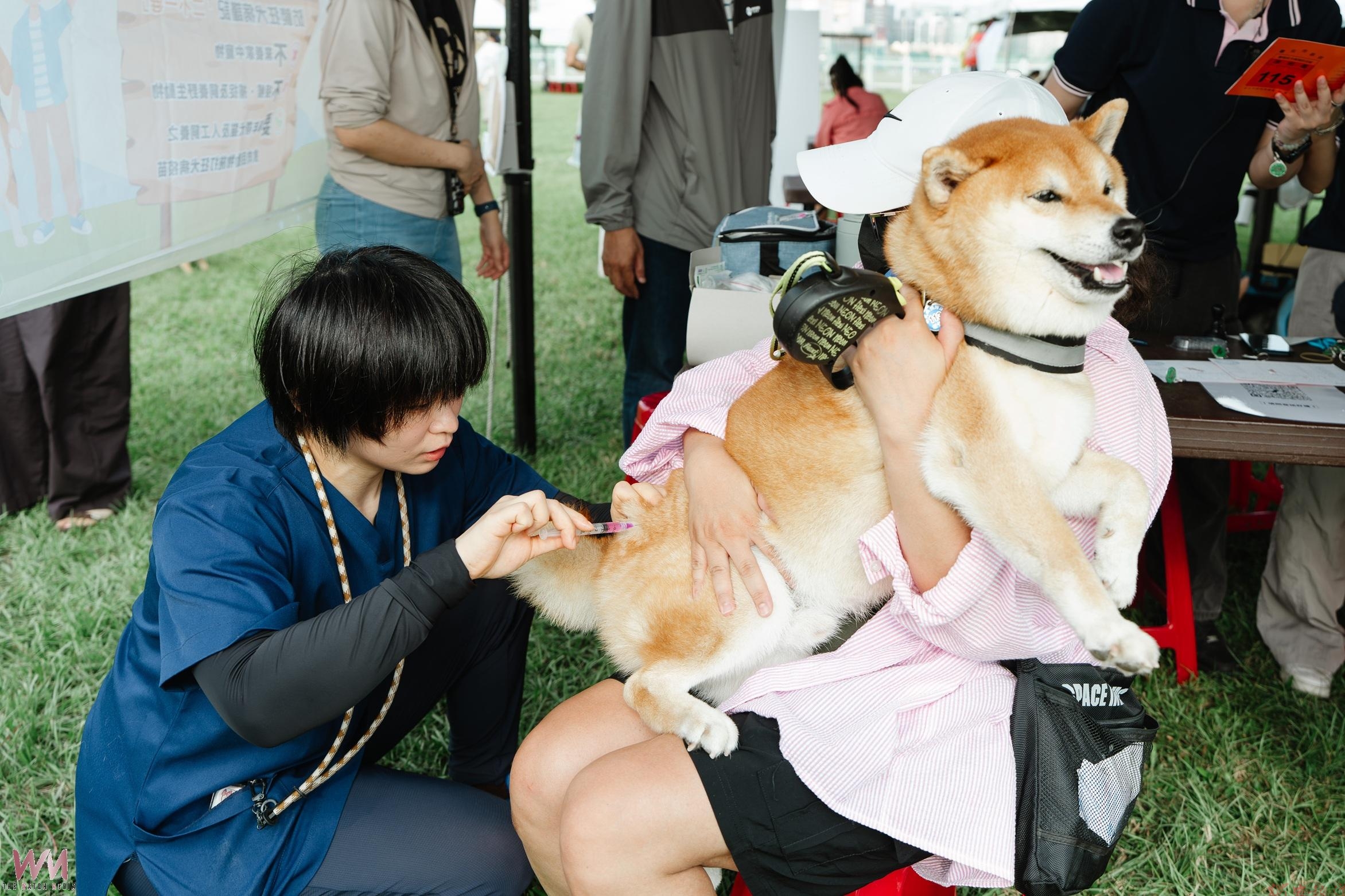 北市「毛孩健康同樂會」 攜寵同遊響應世界狂犬病日及世界動物日 北市「毛孩健康同樂會」 攜寵同遊響應世界狂犬病日及世界動物日