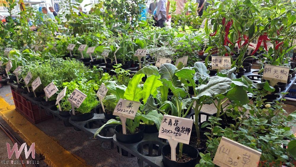 三重重新橋觀光市集10月9日「市集情意農」 農夫裝扮享限量蔬果1元購 三重重新橋觀光市集10月9日「市集情意農」 農夫裝扮享限量蔬果1元購