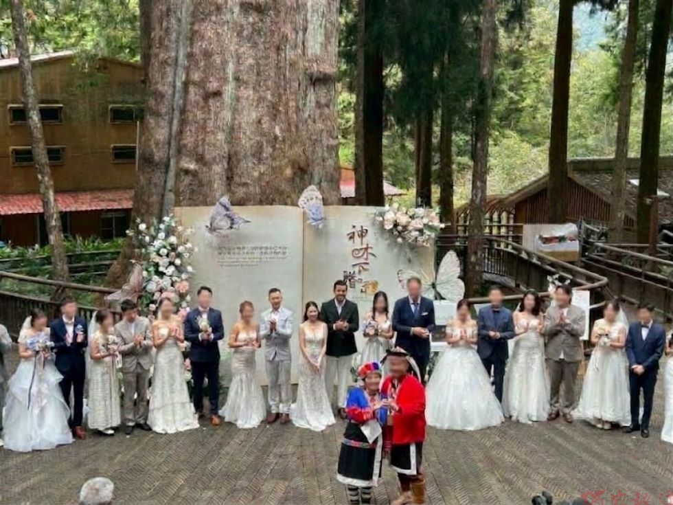 阿里山神木下婚禮20周年 幸福回家邀歷屆新人重返山林 阿里山神木下婚禮20周年 幸福回家邀歷屆新人重返山林
